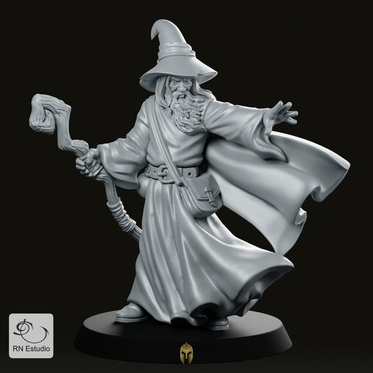 Heroes of Southwald D&D 28mm Miniatures Starter Pack