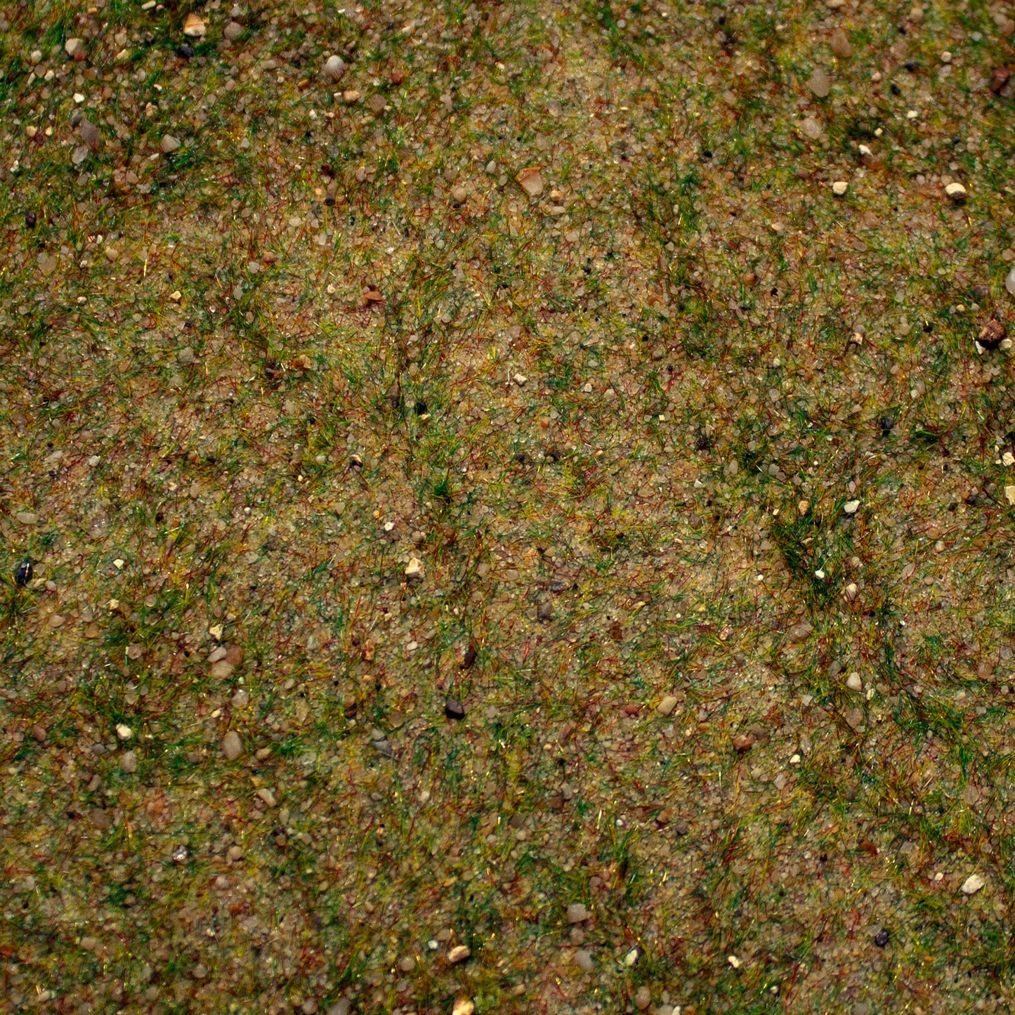 Base Ready Fields Of New Zealand (Small Scale)