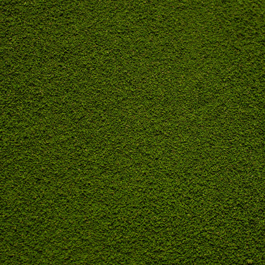 Fine Flock - Woodland Fern Light Green