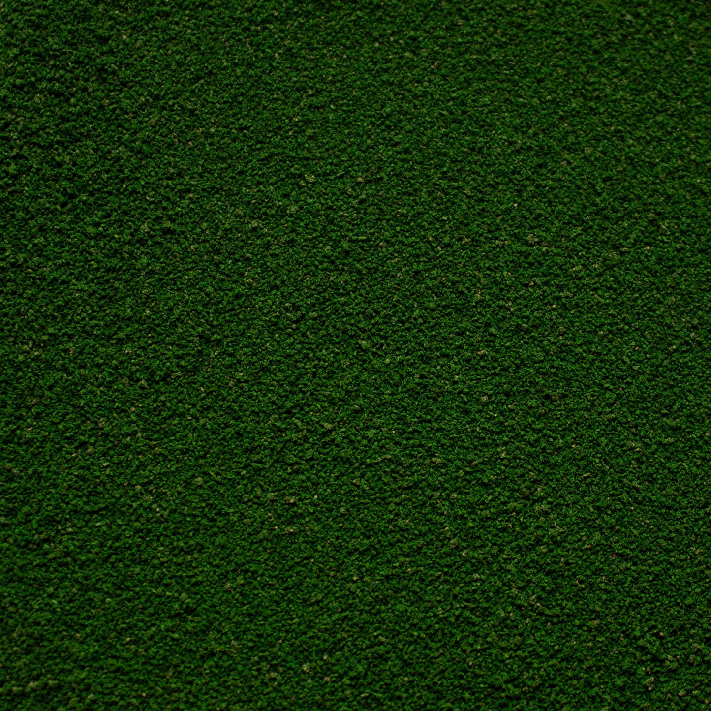 Fine Flock - Woodland Fern Mid Green
