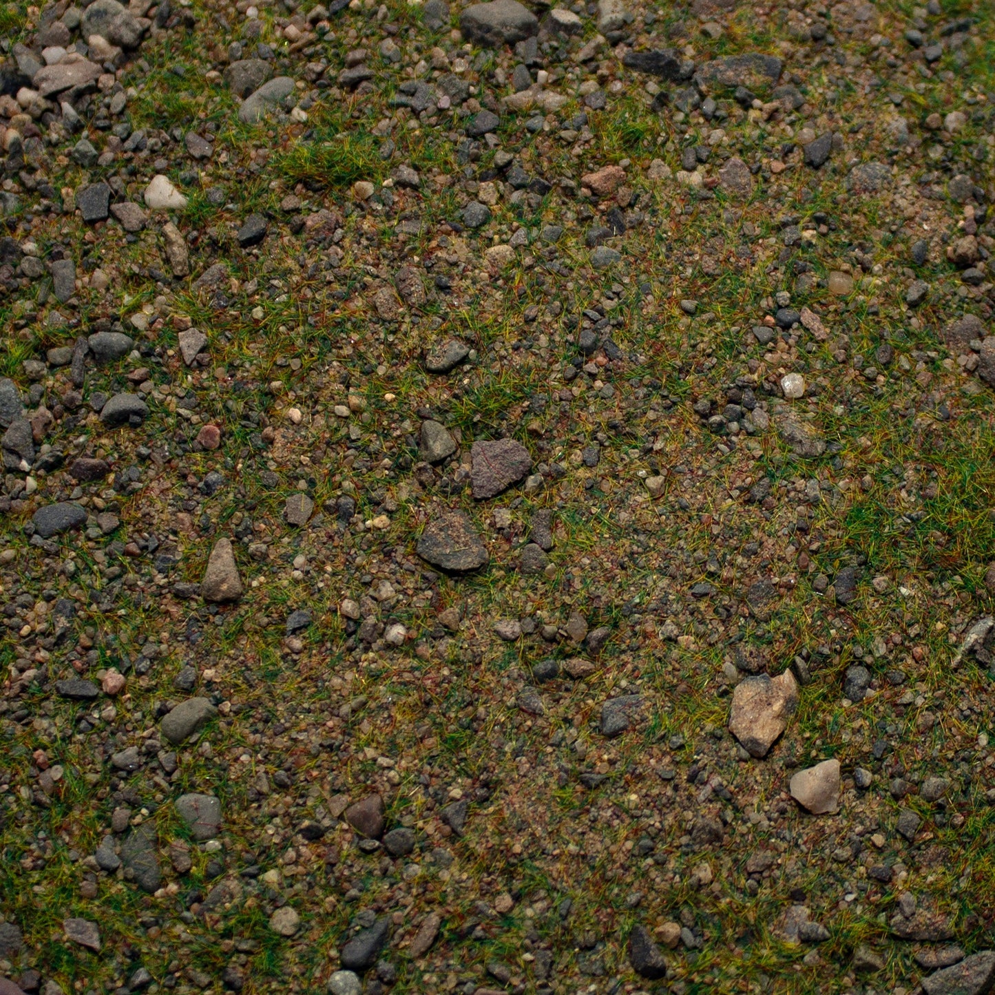 Base Ready Patchy Plains