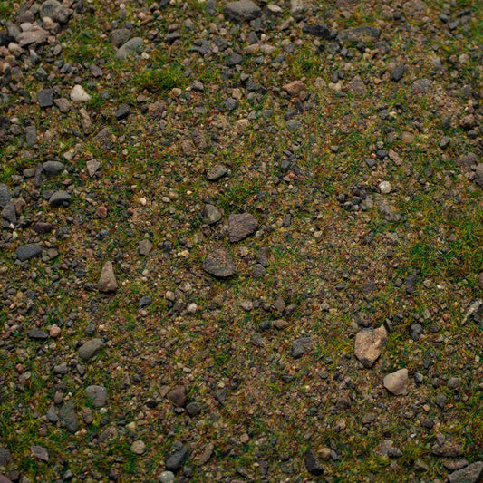Base Ready Patchy Plains