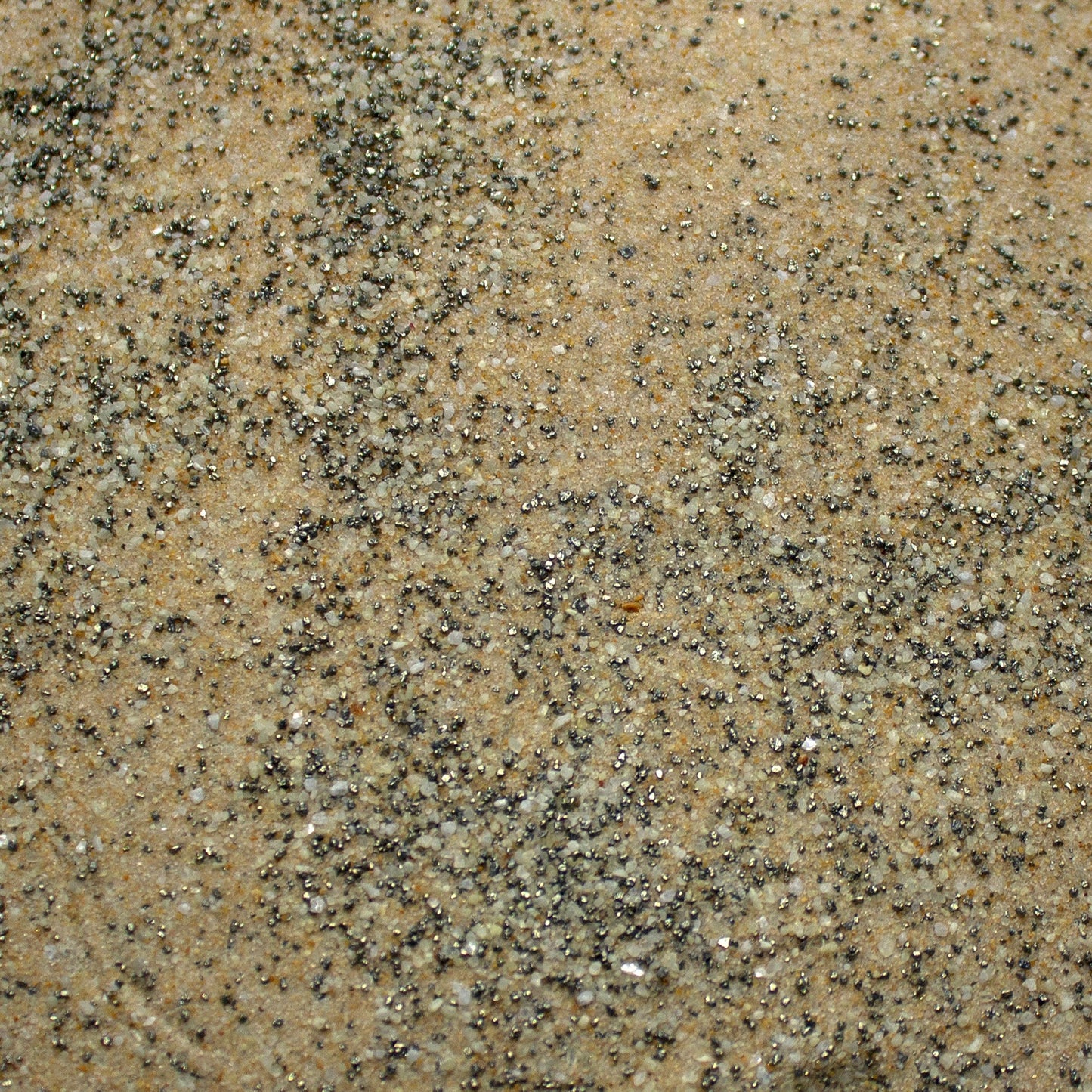 Base Ready Sand-Dune