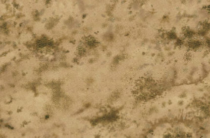 Africa mat
