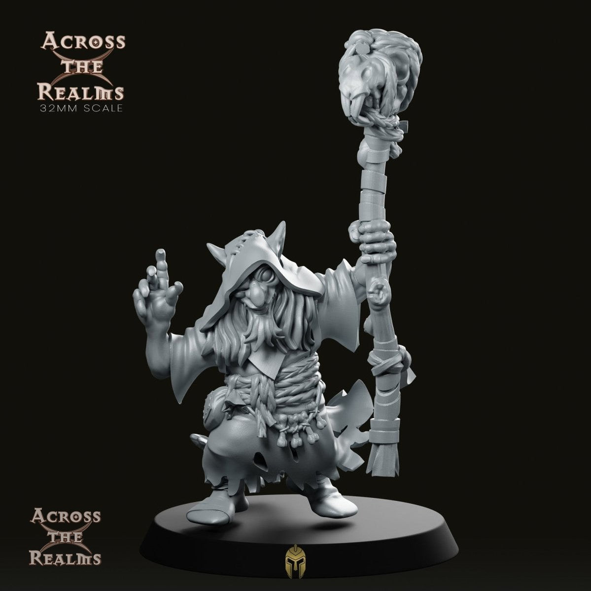 Shamen Goblin Wizard Miniature